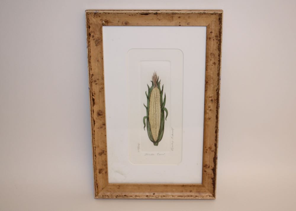 Bailey Tidwell Signed and Numbered Vegetable Prints