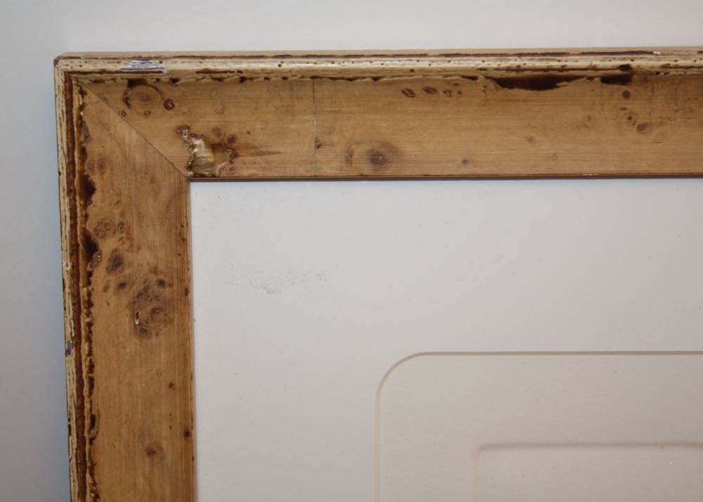 Bailey Tidwell Signed and Numbered Vegetable Prints