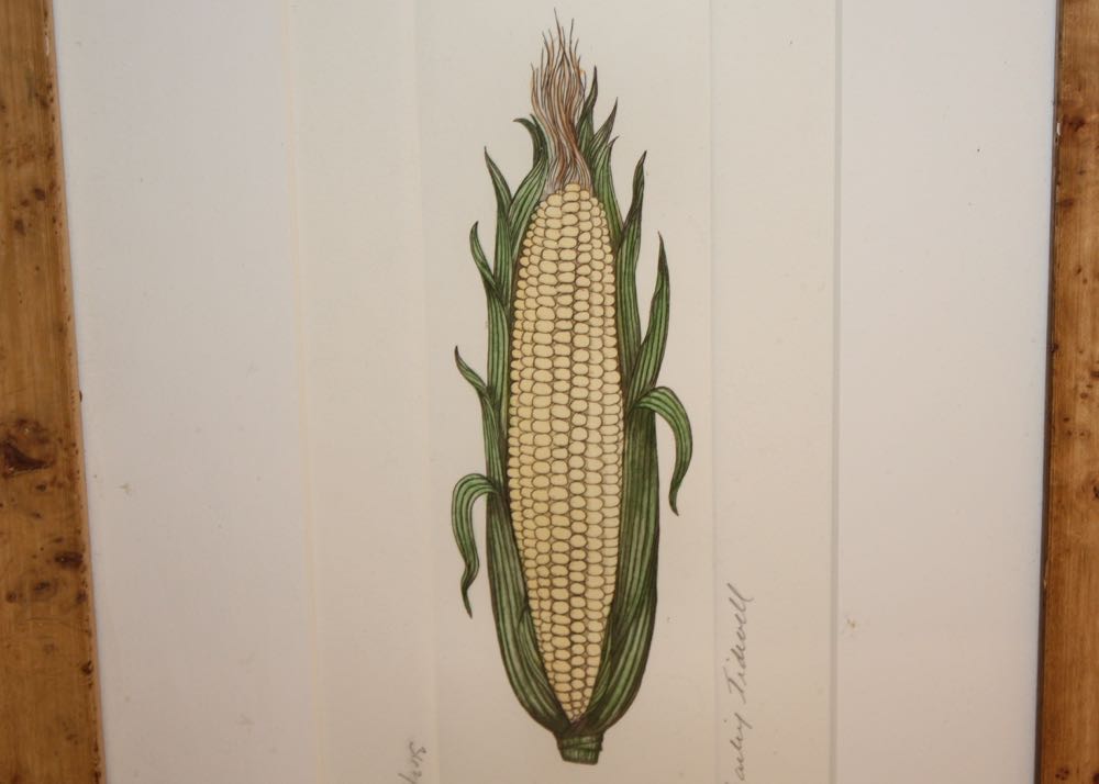 Bailey Tidwell Signed and Numbered Vegetable Prints