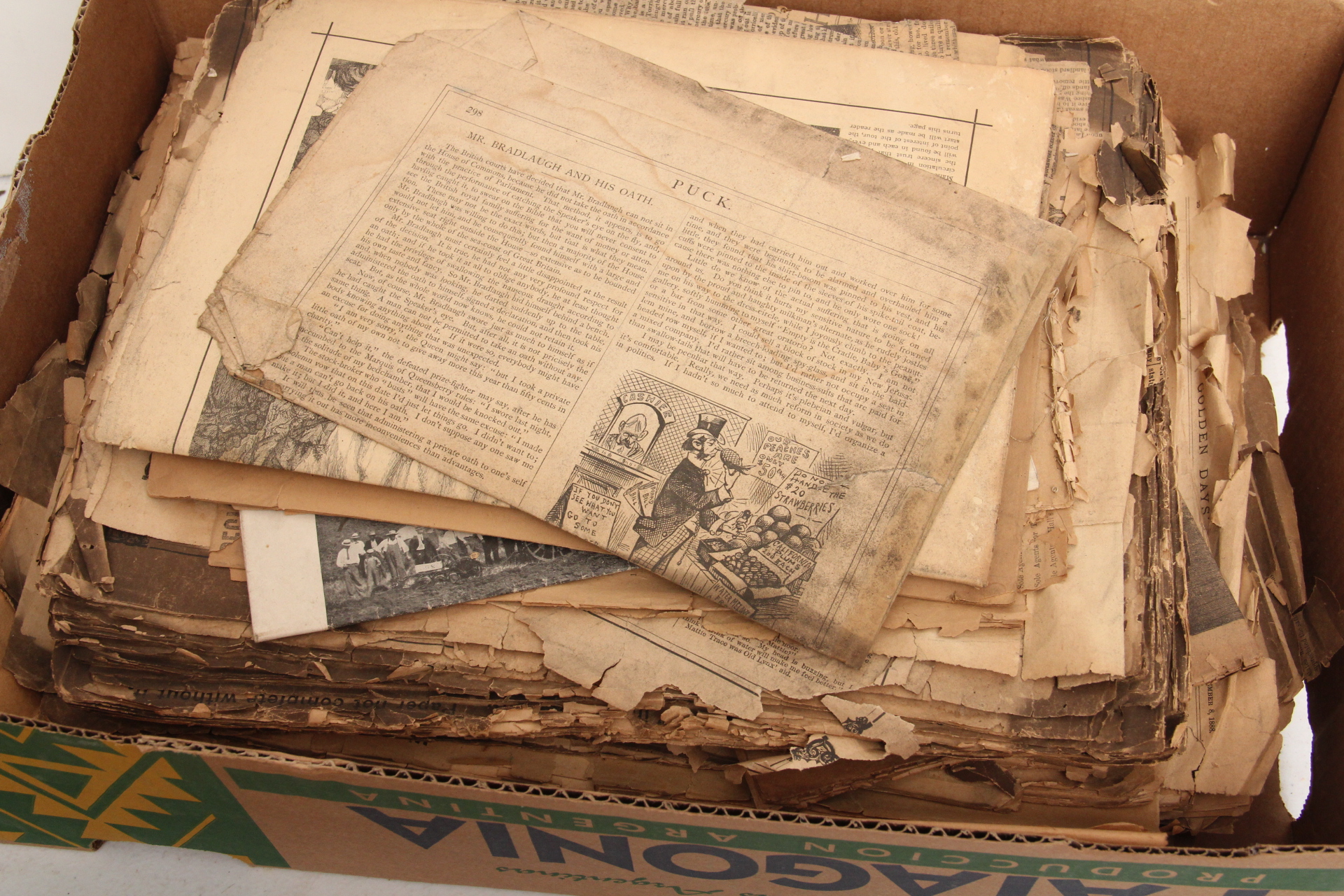Generous Collection of Antique Newspapers and Magazines