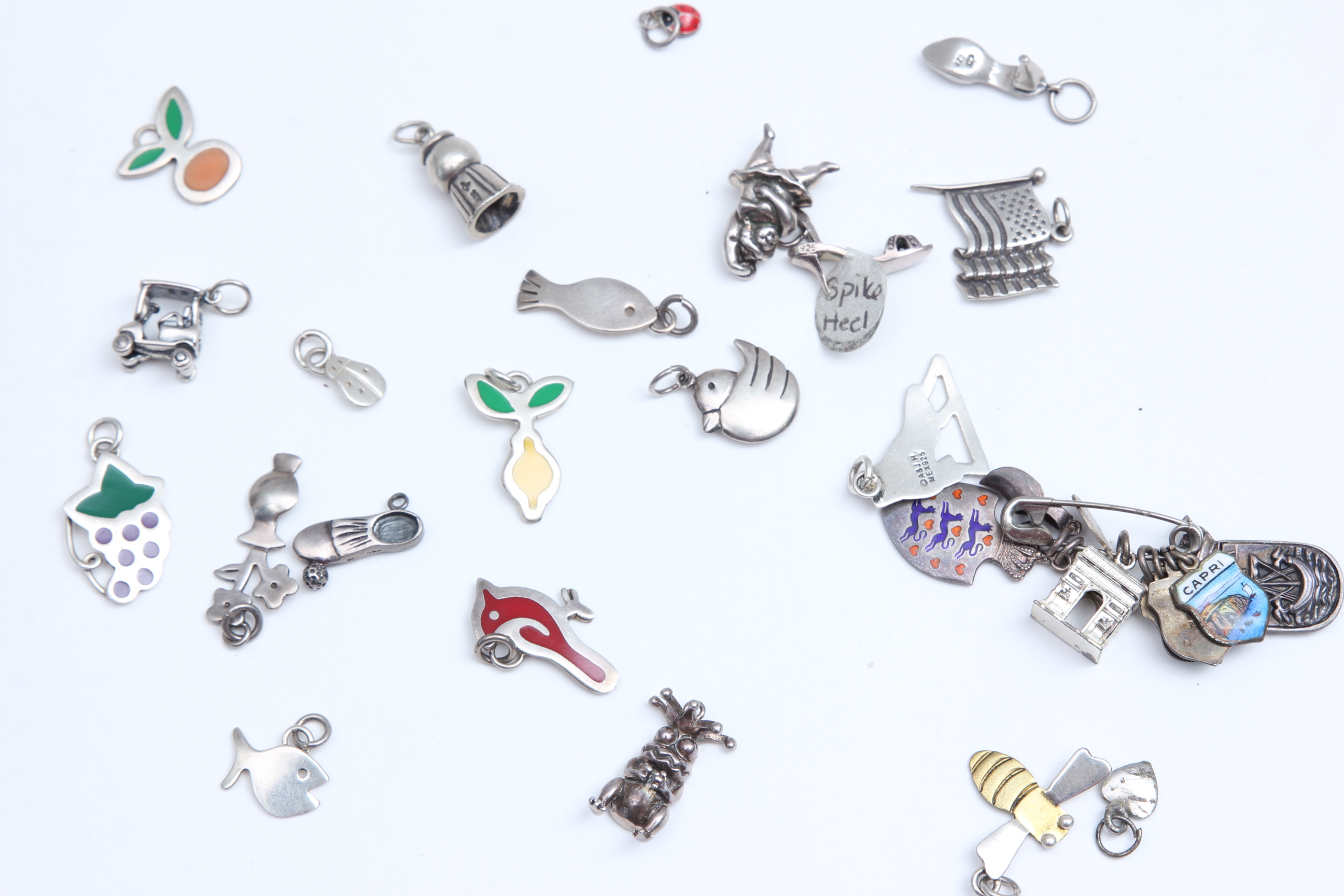 Sterling Silver Charms and Bracelets