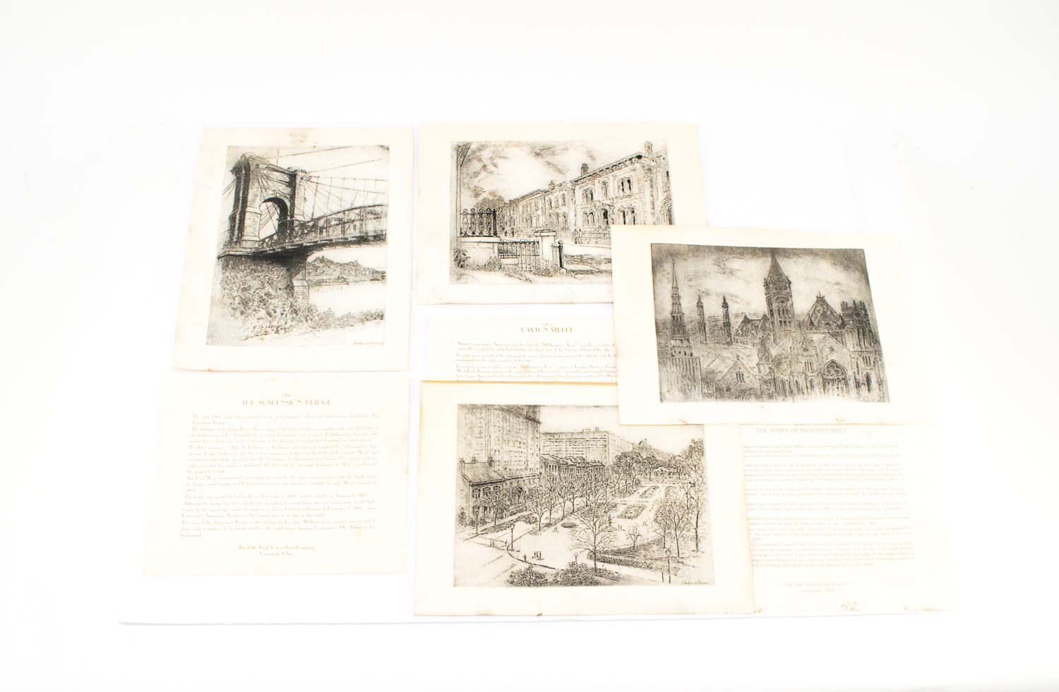 Collection of Caroline Williams Prints