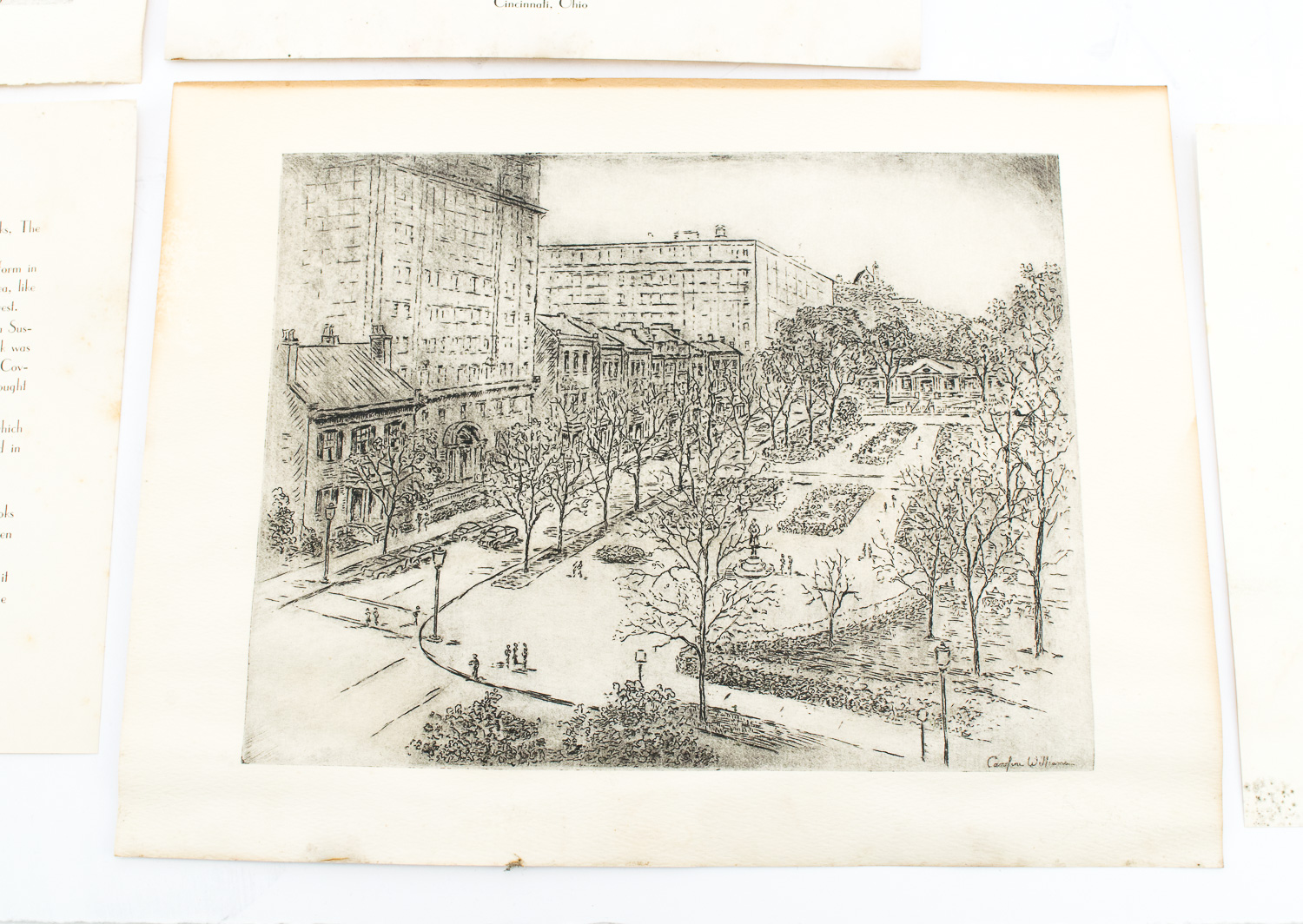 Collection of Caroline Williams Prints