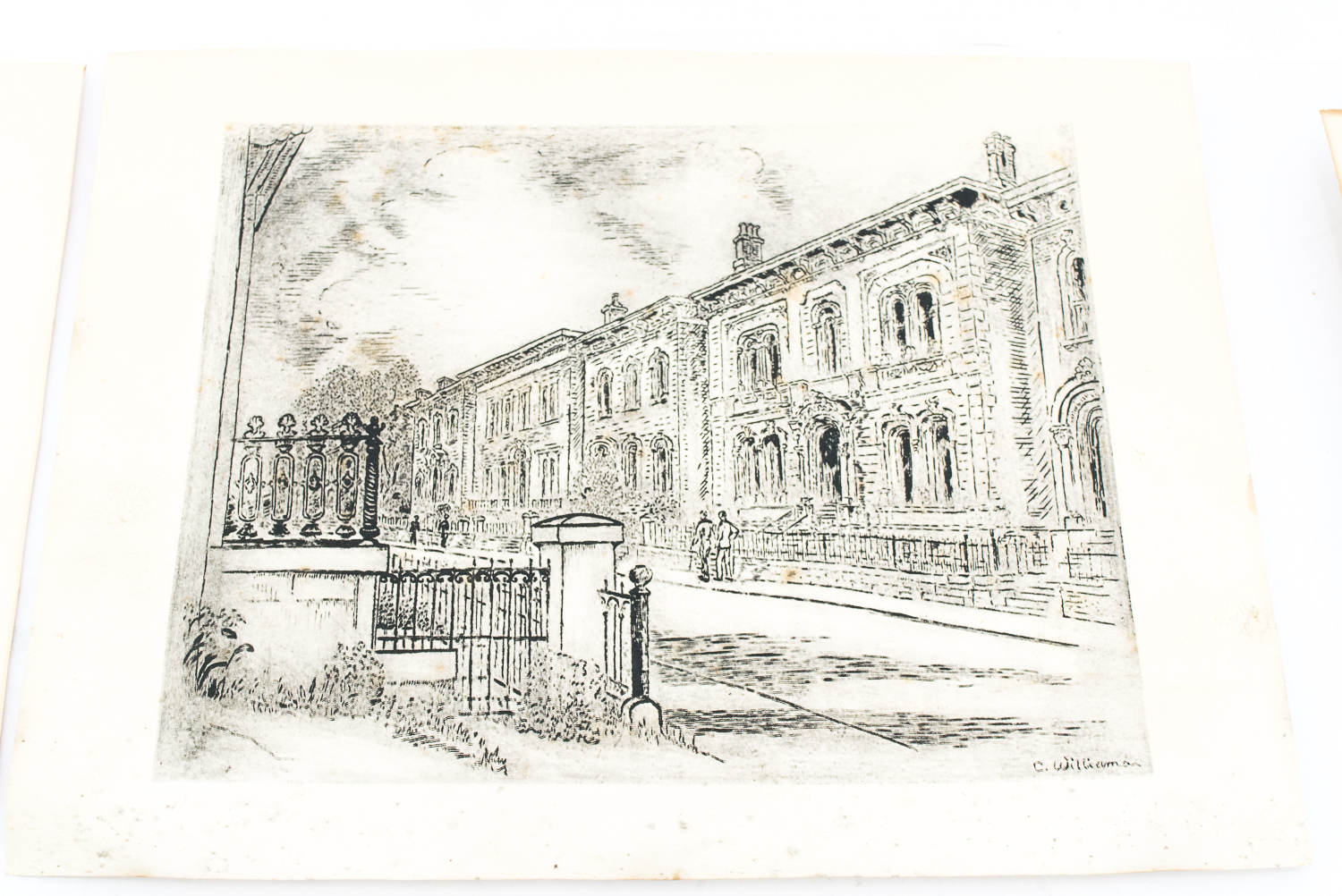 Collection of Caroline Williams Prints