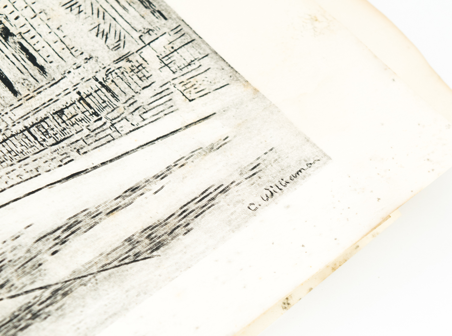 Collection of Caroline Williams Prints