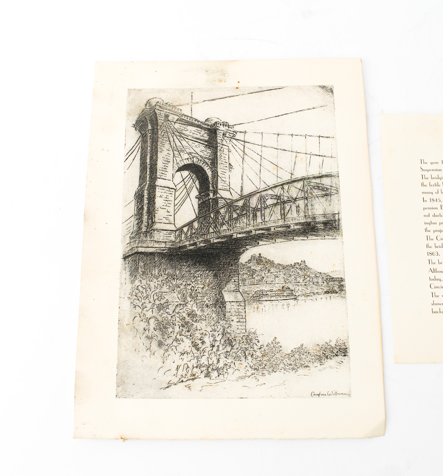 Collection of Caroline Williams Prints