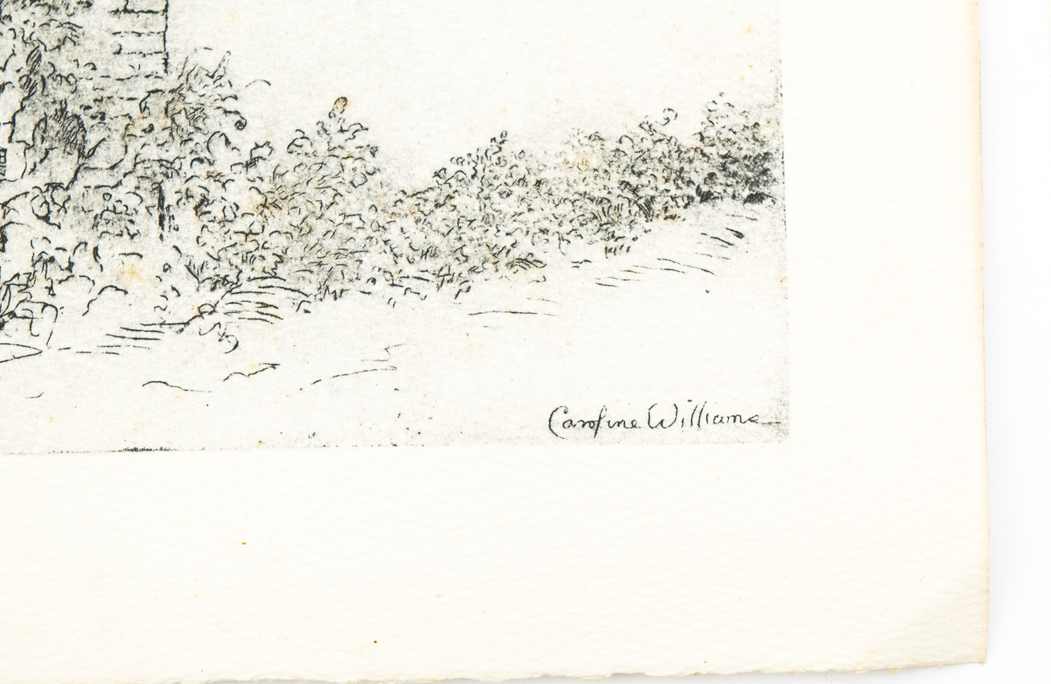 Collection of Caroline Williams Prints