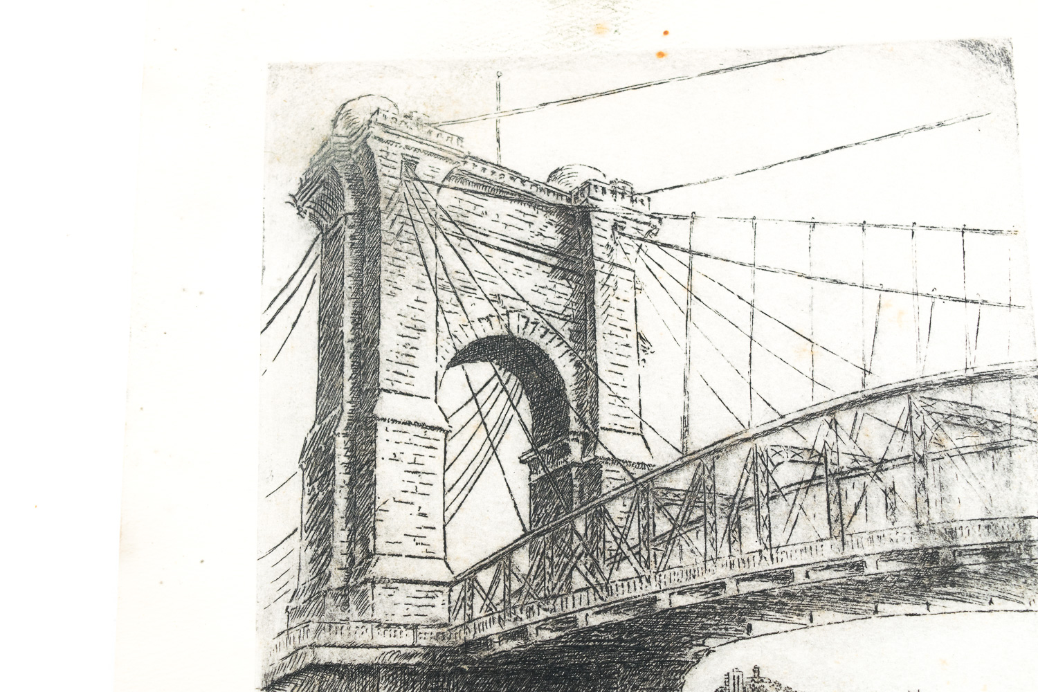 Collection of Caroline Williams Prints