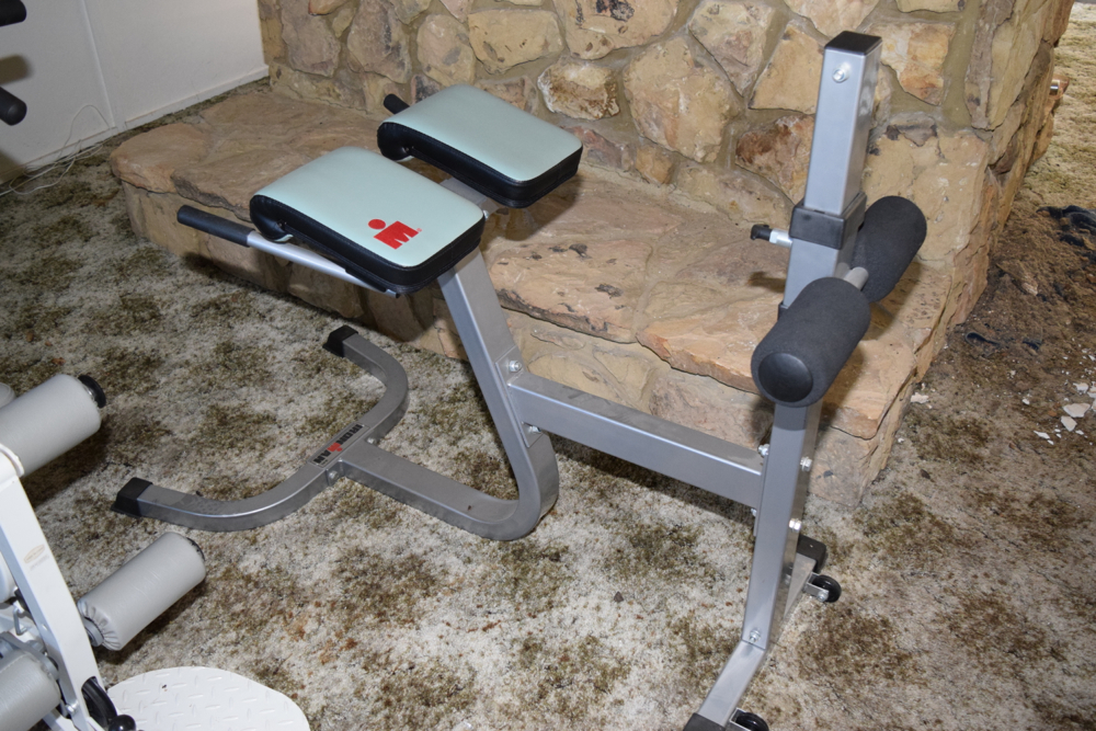 Pair of Ironman Exercise Machines