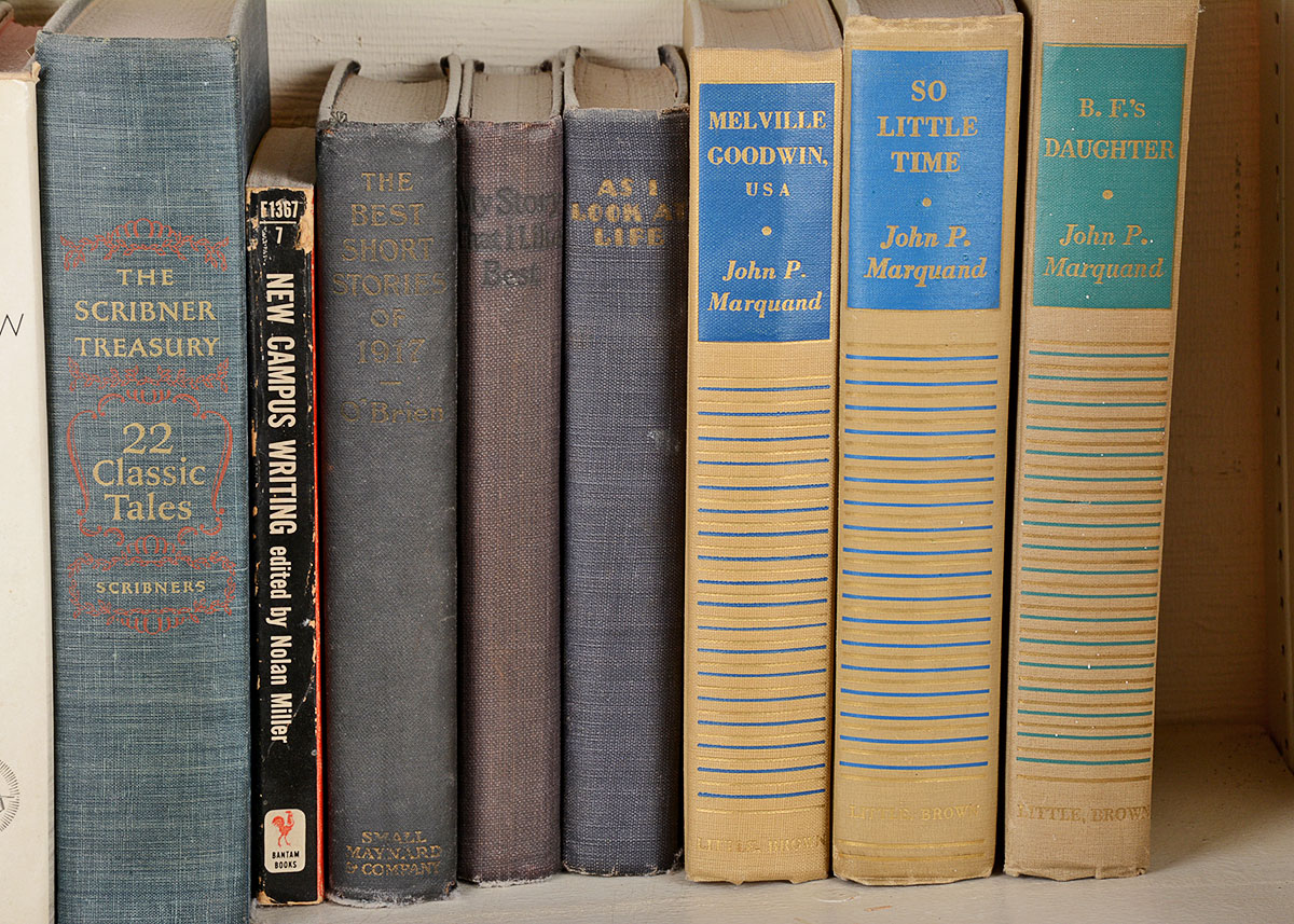 Vintage Short Story and Literature Collection