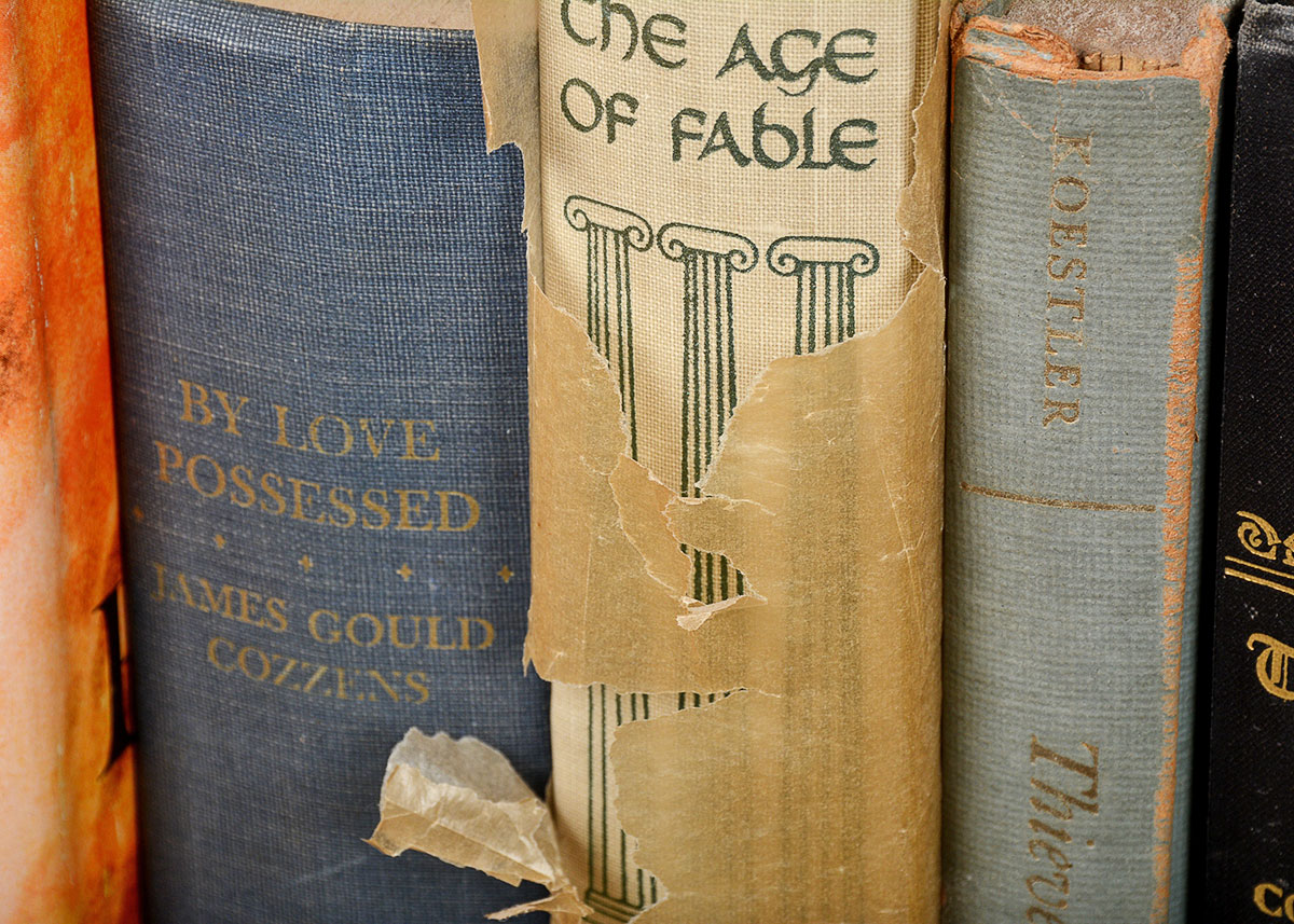 Vintage Short Story and Literature Collection