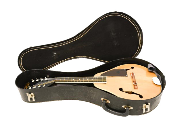 Hondo Mandolin With Case