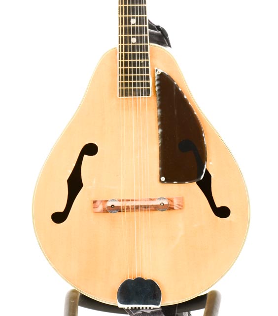 Hondo Mandolin With Case