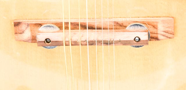 Hondo Mandolin With Case