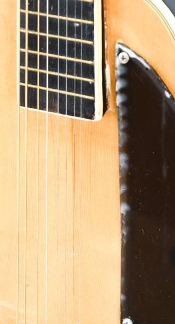 Hondo Mandolin With Case