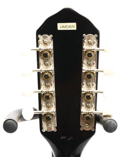 Hondo Mandolin With Case