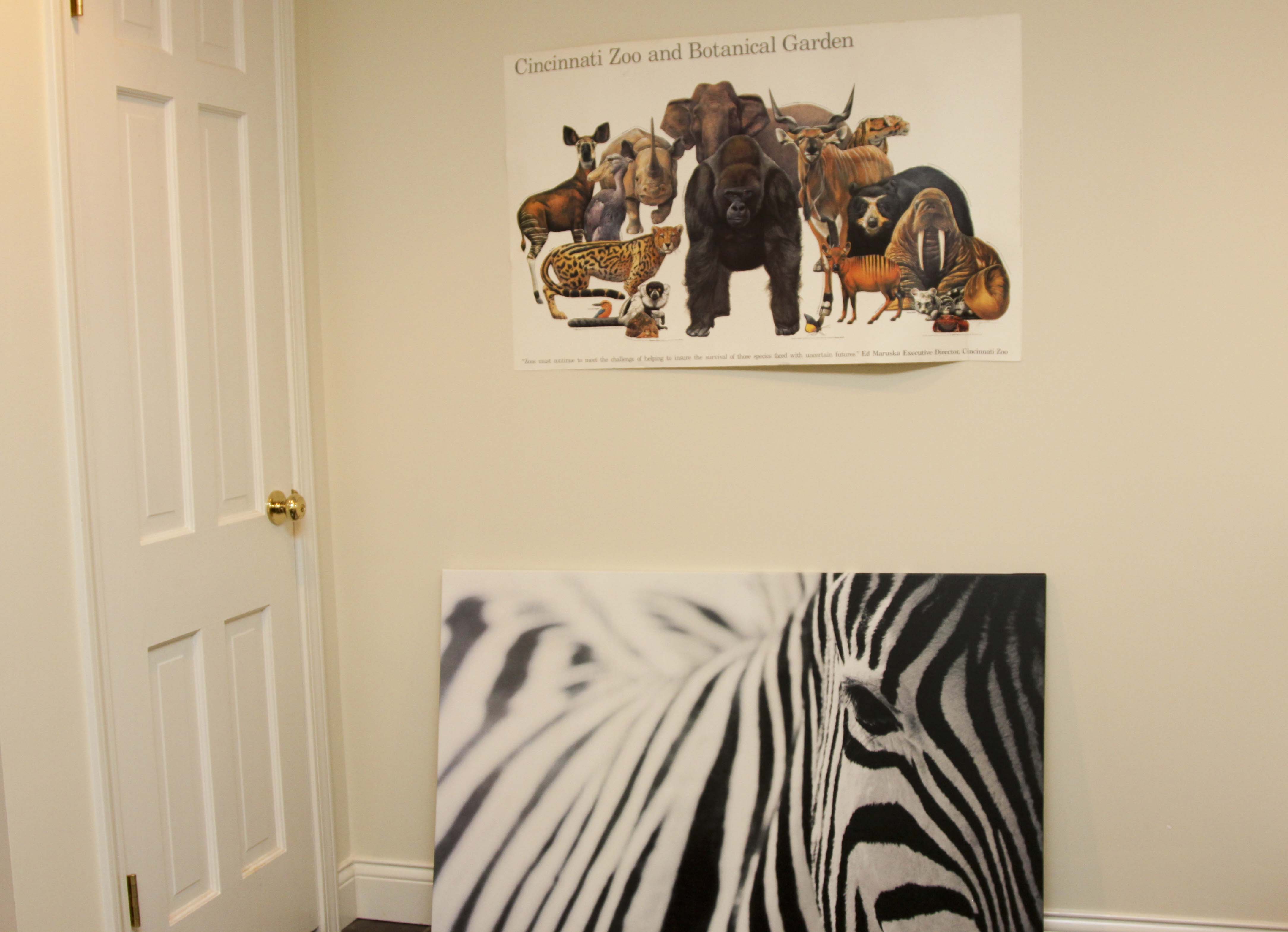 Ikea Black and White Zebra Canvas Photo + Cincinnati Zoo Poster