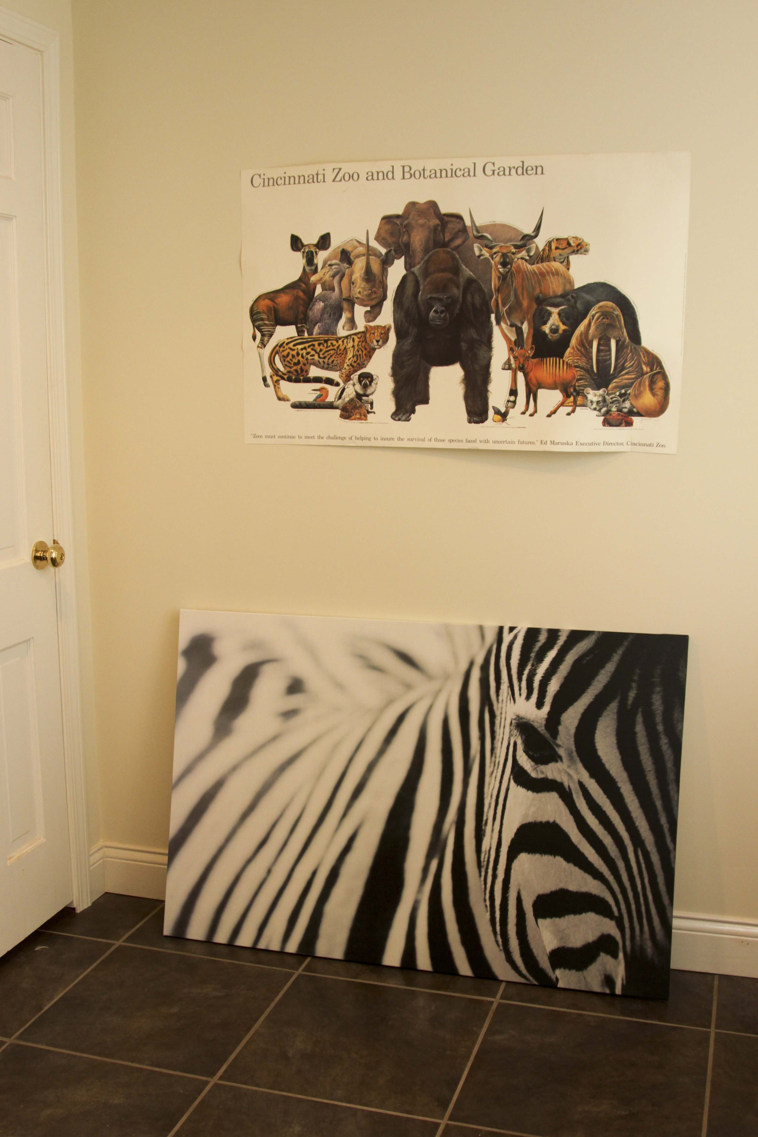 Ikea Black and White Zebra Canvas Photo + Cincinnati Zoo Poster