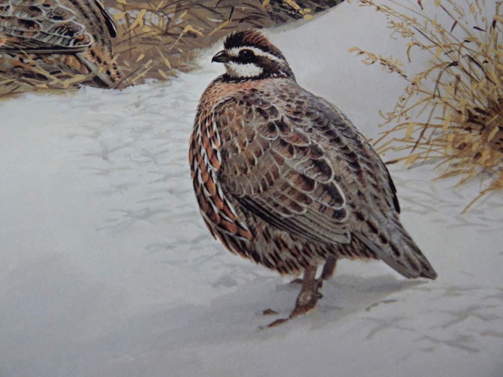 Four Limited Edition Prints - Four Artists