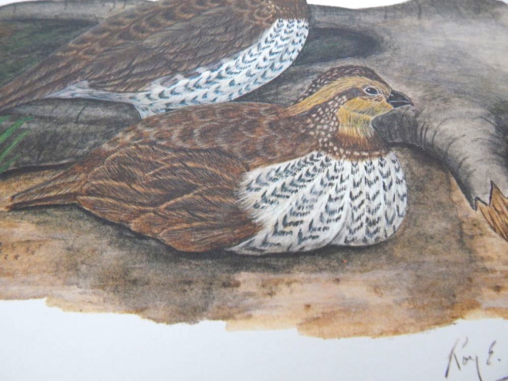 Four Limited Edition Prints - Four Artists