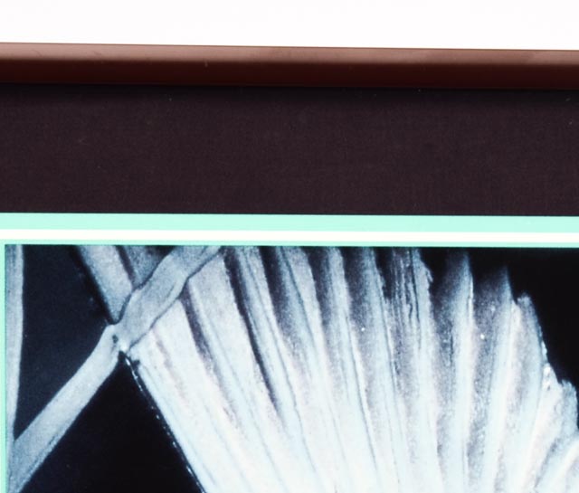 Rookwood Pottery Exhibition Poster