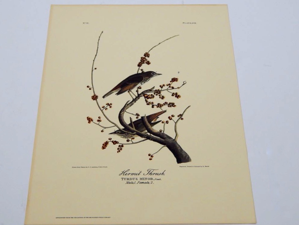 Audubon Books & Prints