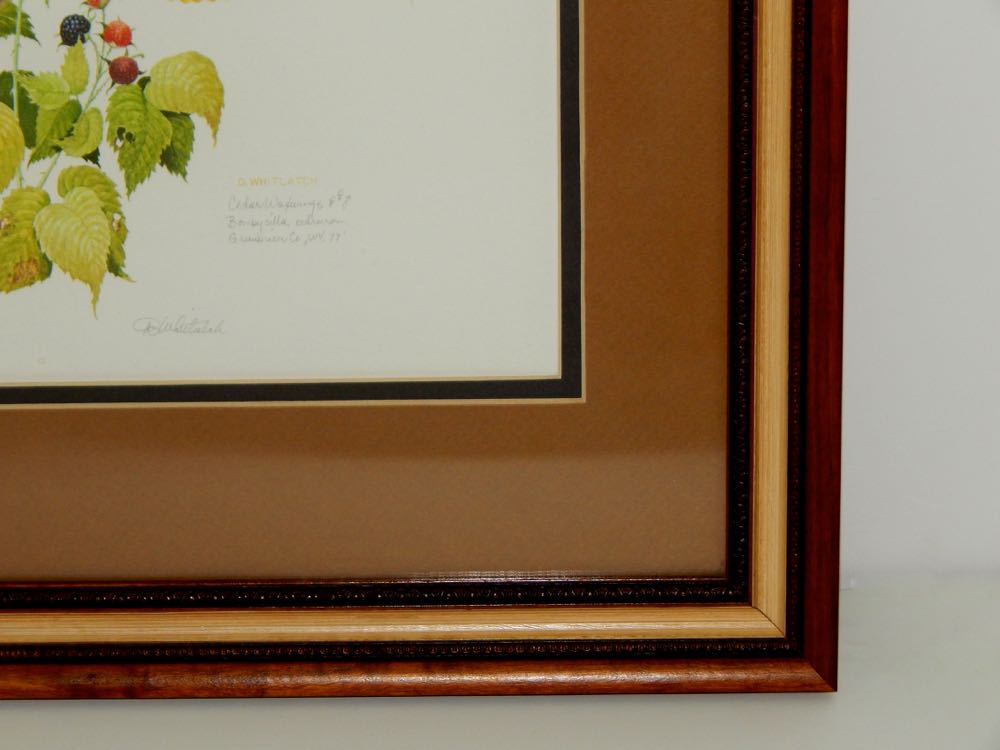 1977 "Cedar Waxwings" by Don Whitlach