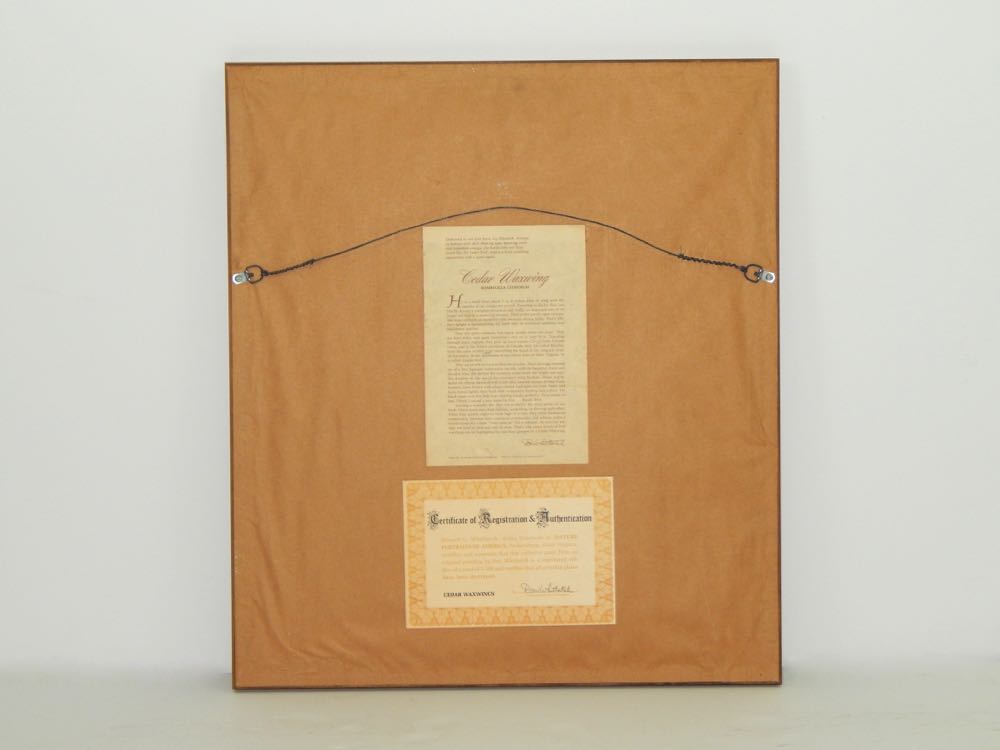 1977 "Cedar Waxwings" by Don Whitlach