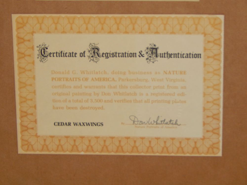 1977 "Cedar Waxwings" by Don Whitlach