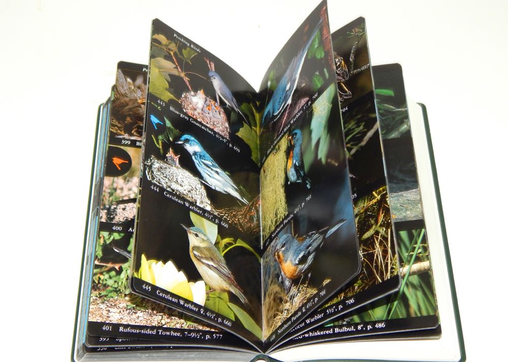 Audubon Books & Prints