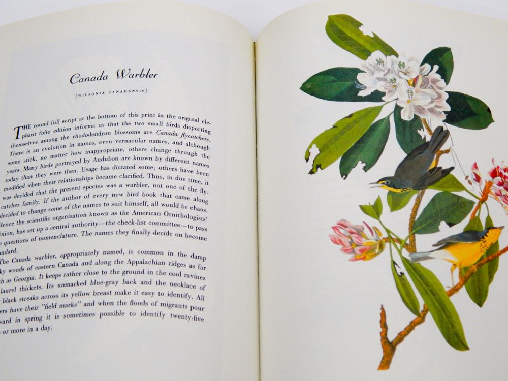 Audubon Books & Prints