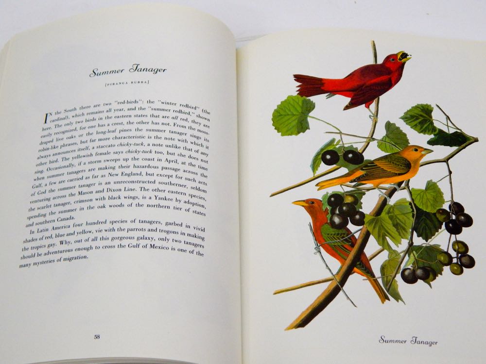Audubon Books & Prints