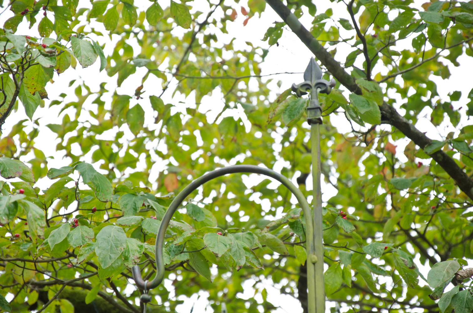 Bird Feeder And Stand