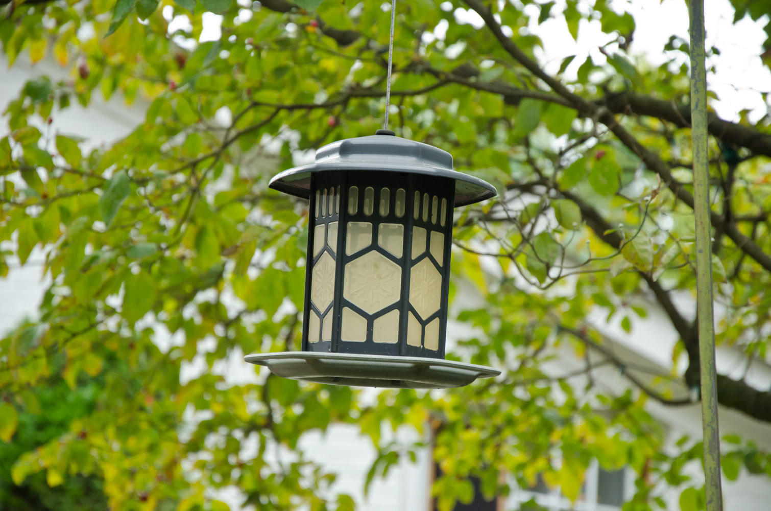 Bird Feeder And Stand