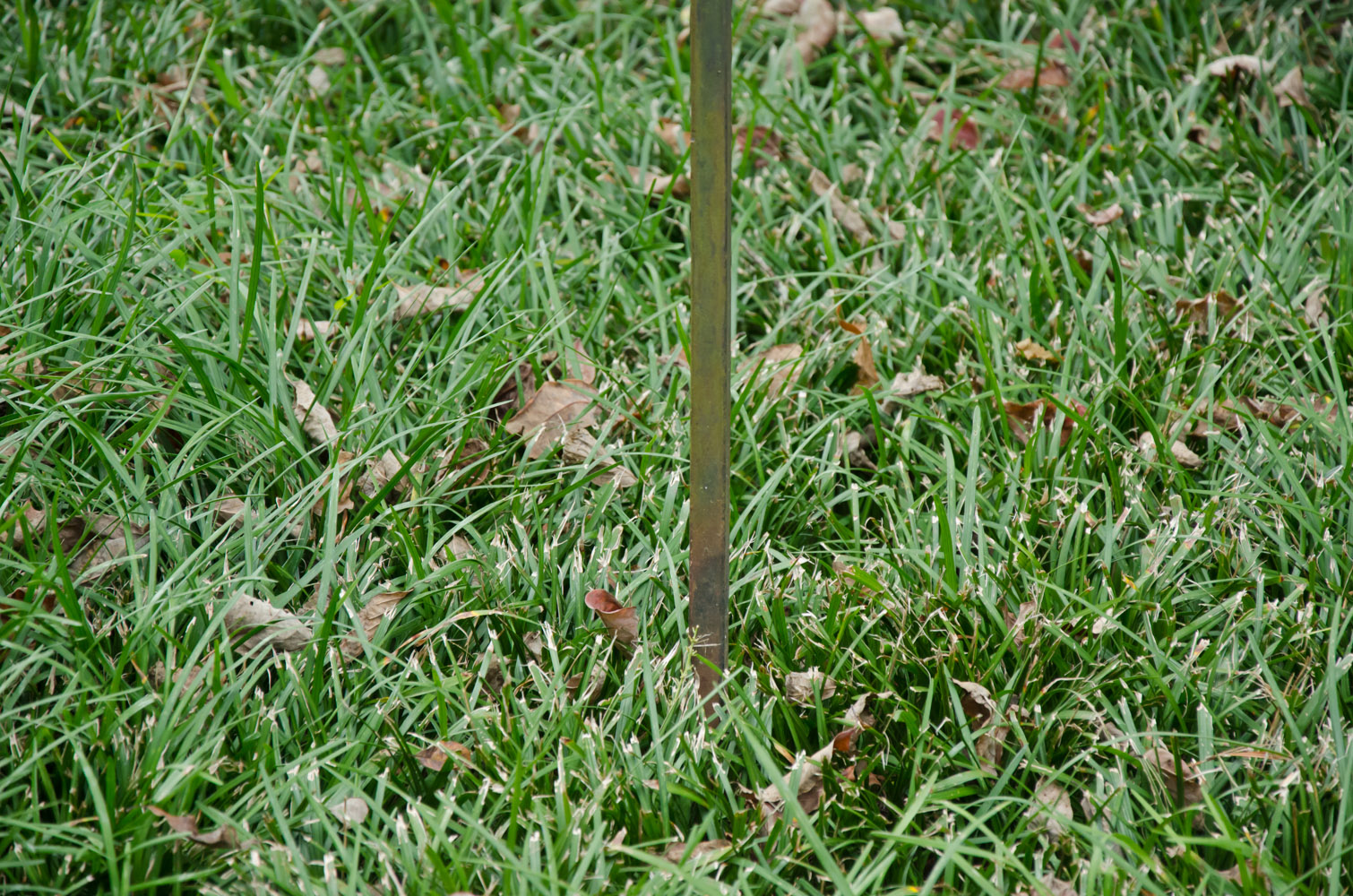 Bird Feeder And Stand