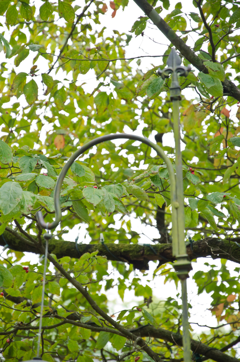 Bird Feeder And Stand