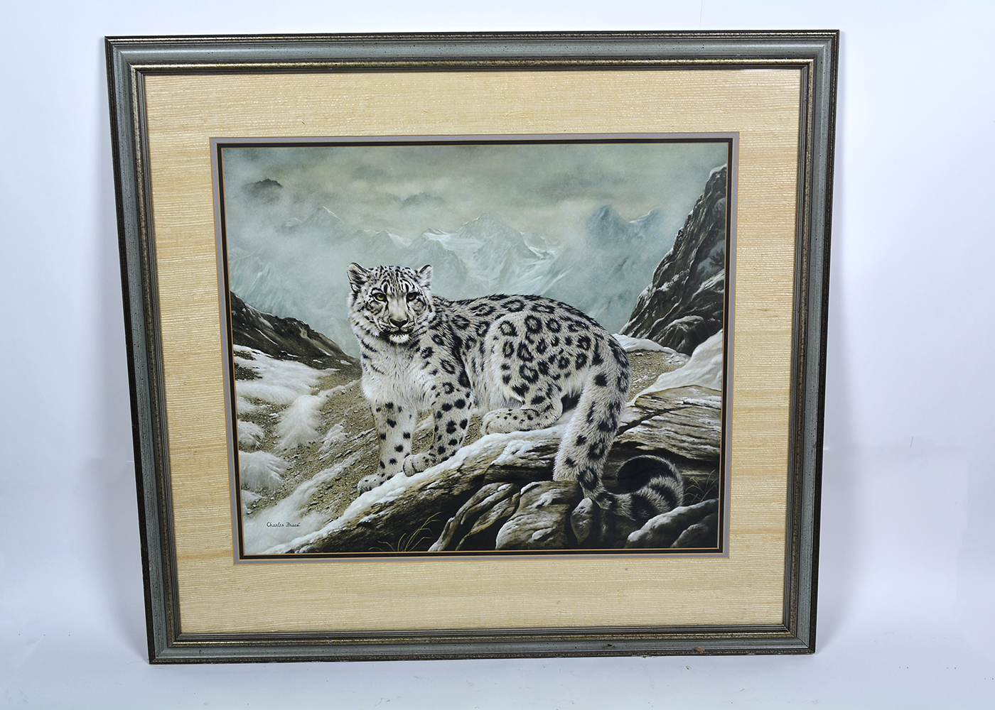 Framed Charles Frace' Snow Leopard Print