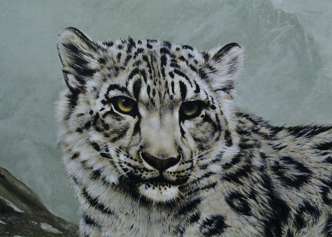 Framed Charles Frace' Snow Leopard Print