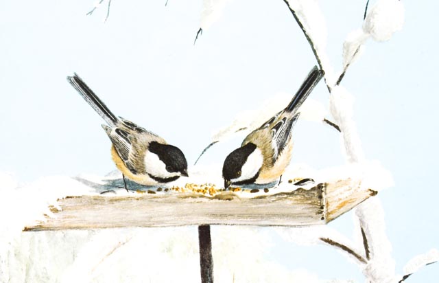 Limited Edition Ray Harm Print "Winter Feeder"