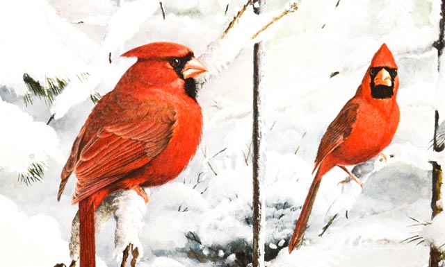 Limited Edition Ray Harm Print "Winter Feeder"