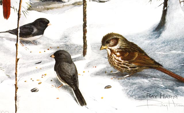 Limited Edition Ray Harm Print "Winter Feeder"