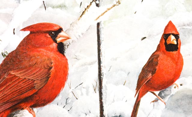 Limited Edition Ray Harm Print "Winter Feeder"