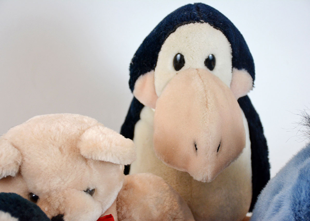 Stuffed Animal Collection