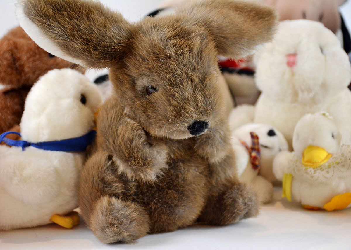 Stuffed Animal Collection