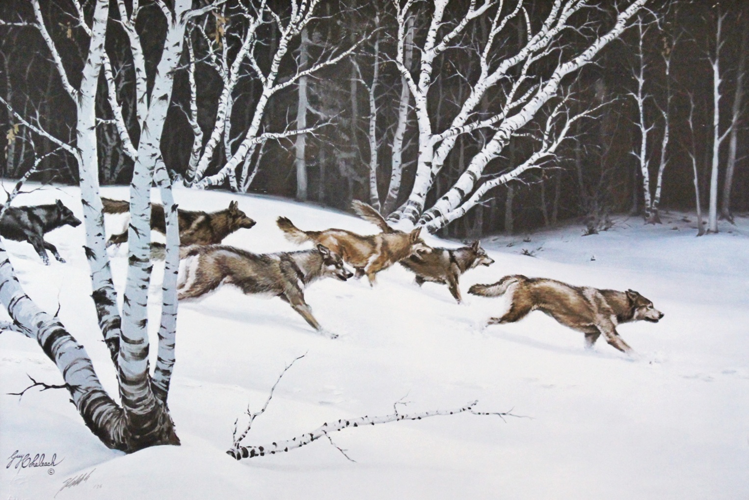 Rare "Wolf Pack" Signed/Numbered Litho by Guy Coheleach