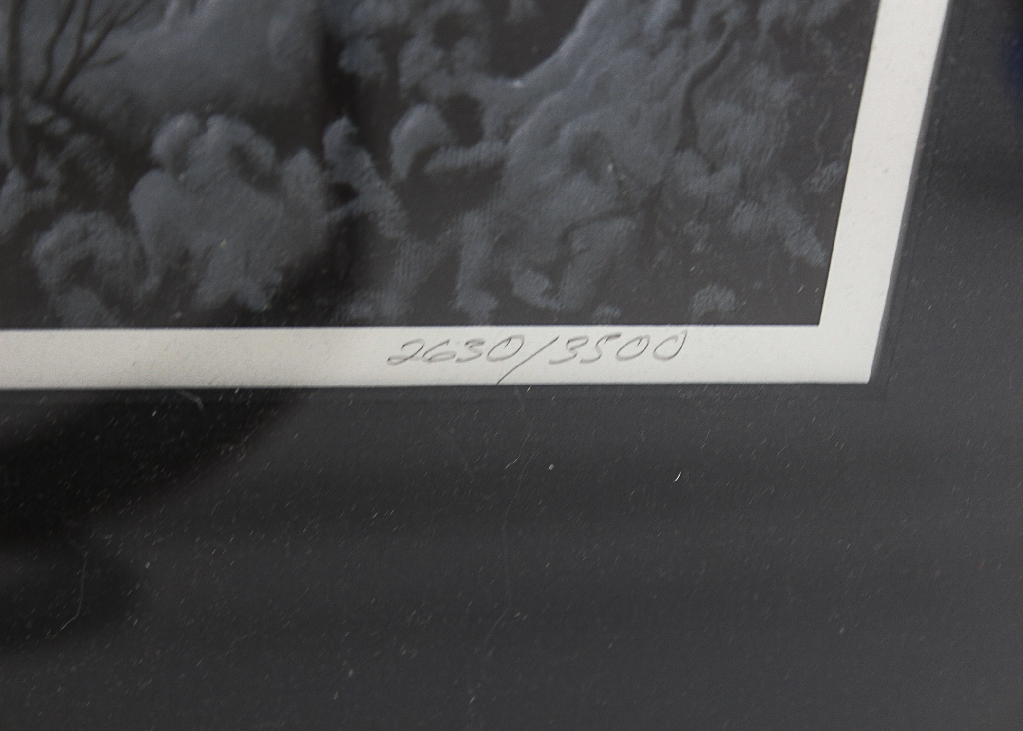 Signed Limited Edition Jesse Barnes "Spirit of the Season" Print