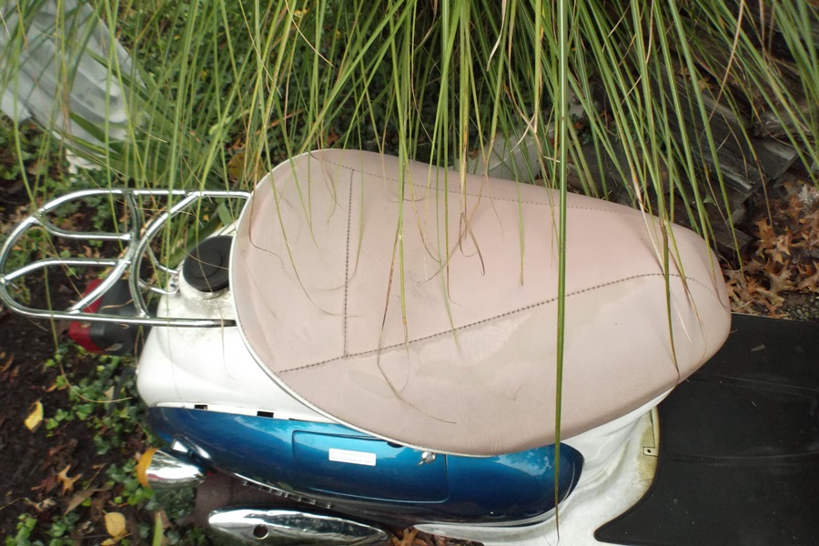 Venice Qs-50qt-5 Parts Scooter