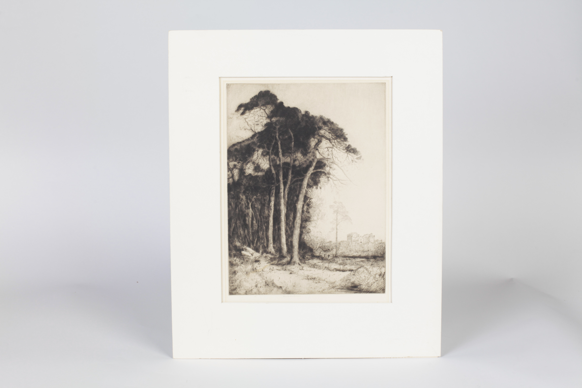 John George Mathieson Drypoint Etching "Trees"