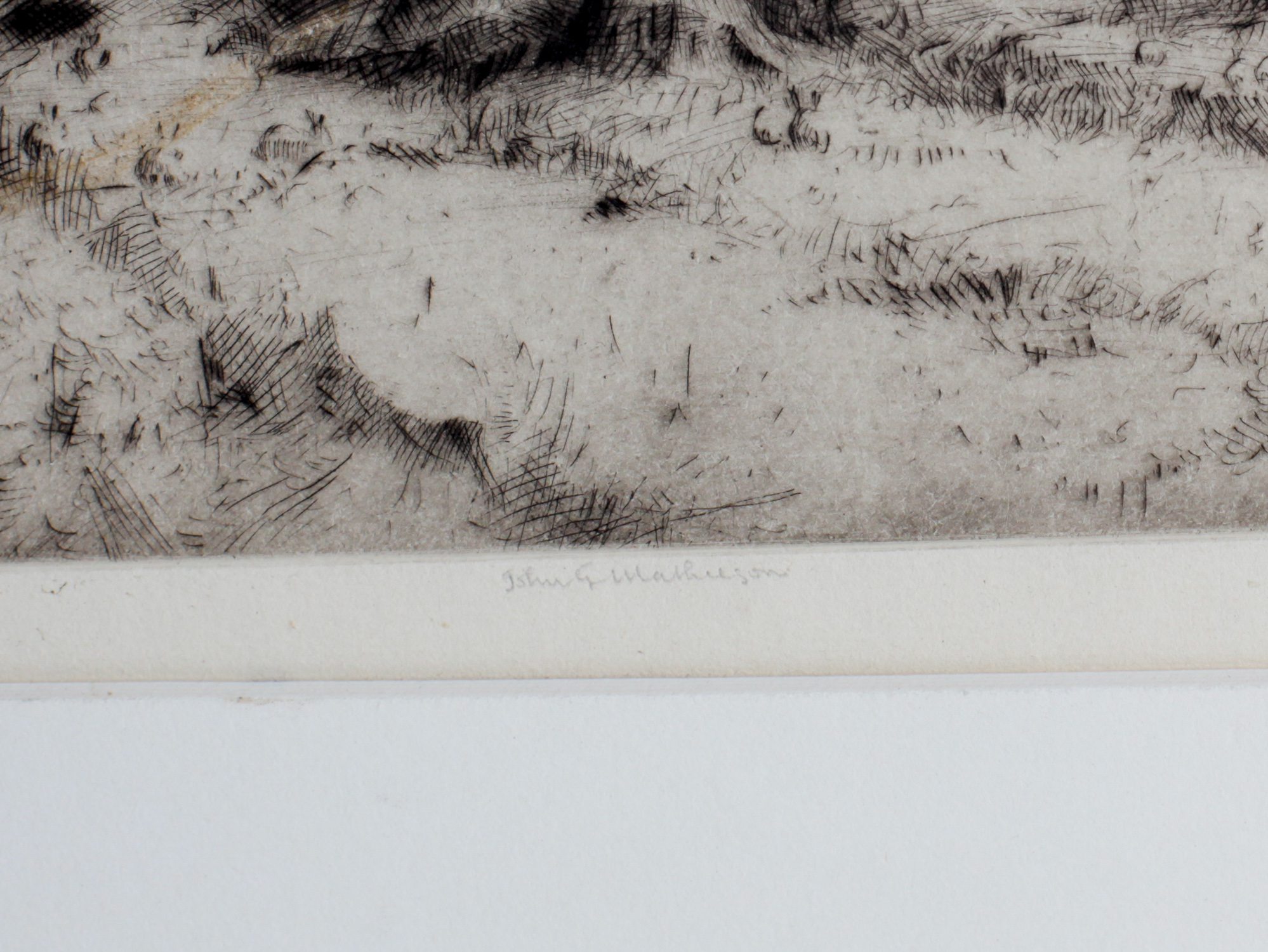 John George Mathieson Drypoint Etching "Trees"