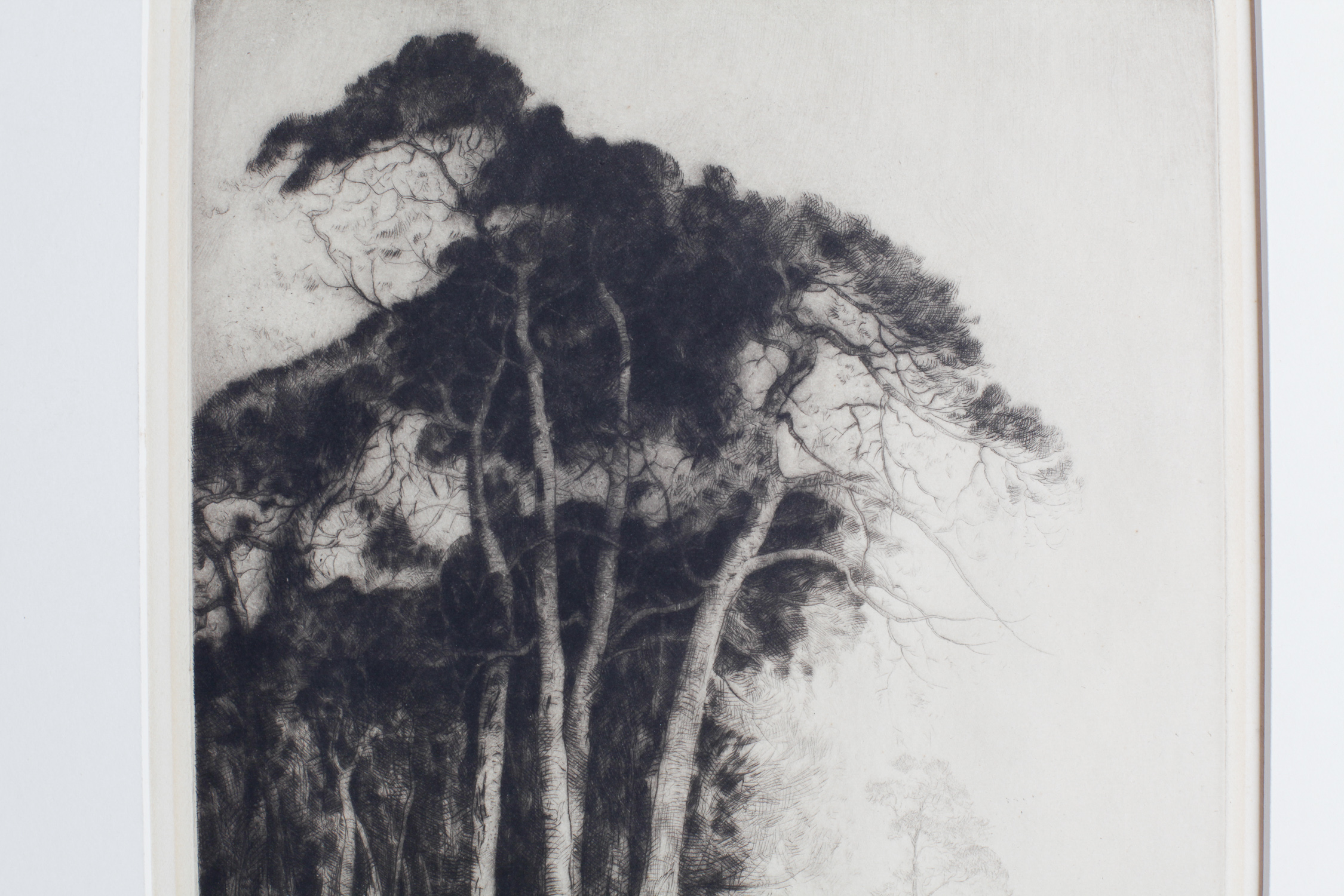 John George Mathieson Drypoint Etching "Trees"